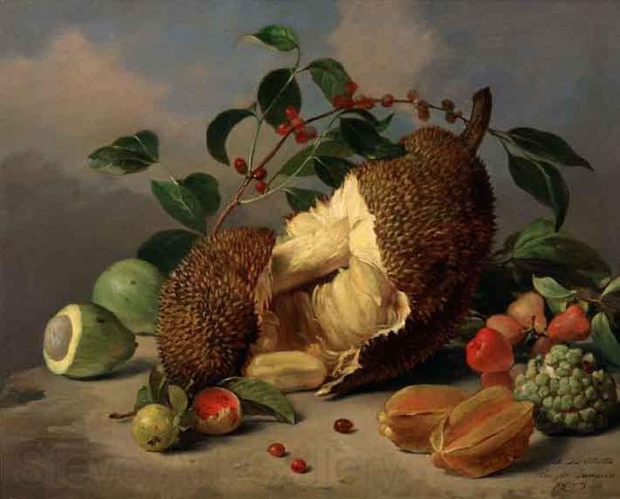 Mota, Jose de la Still life with fruit France oil painting art